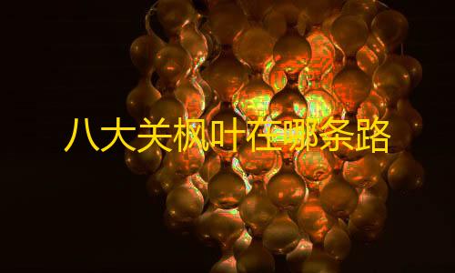 暗区小可乐HOOK直装八大关枫叶在哪条路